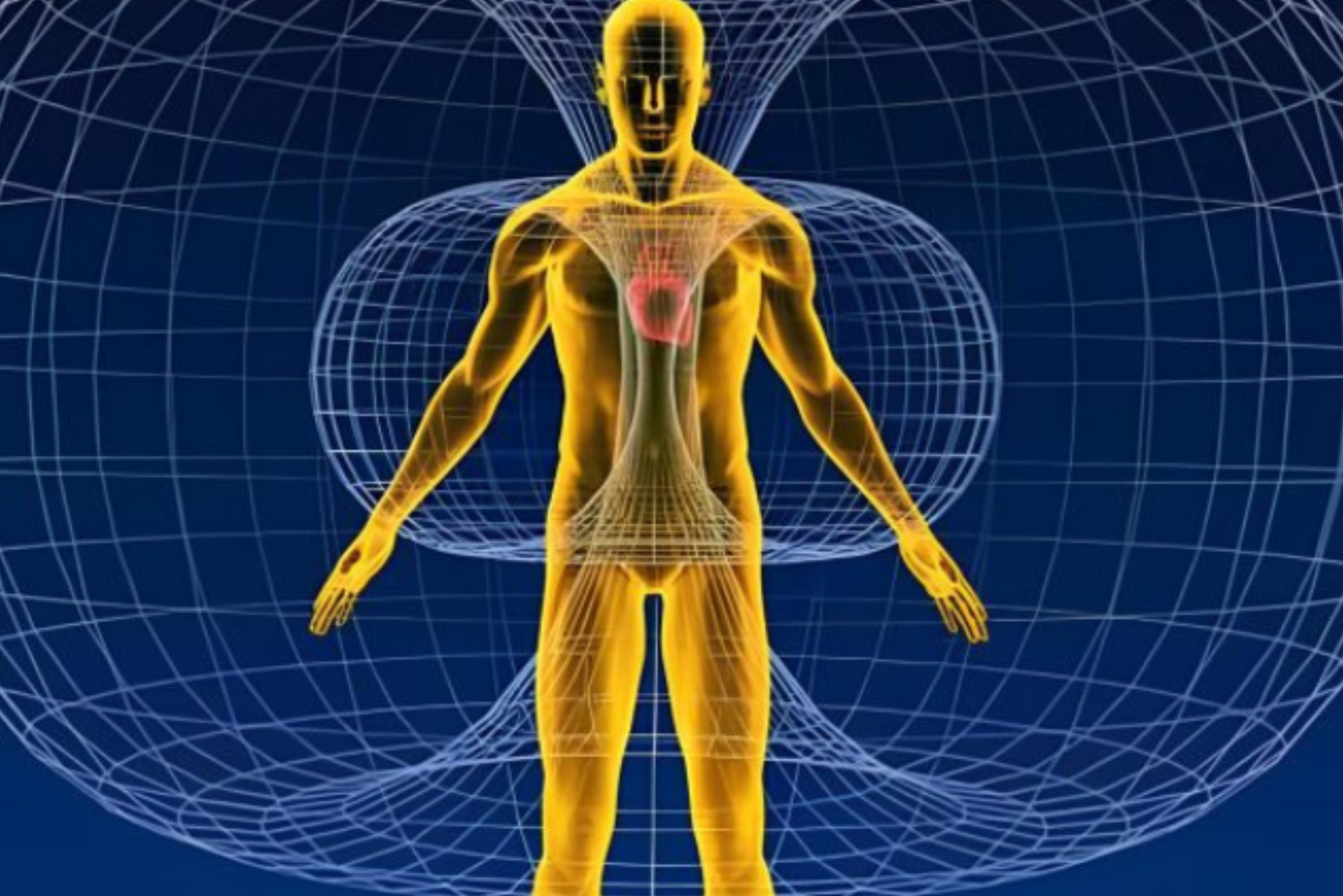 O despertar da consciência e a psicologia transpessoal​
