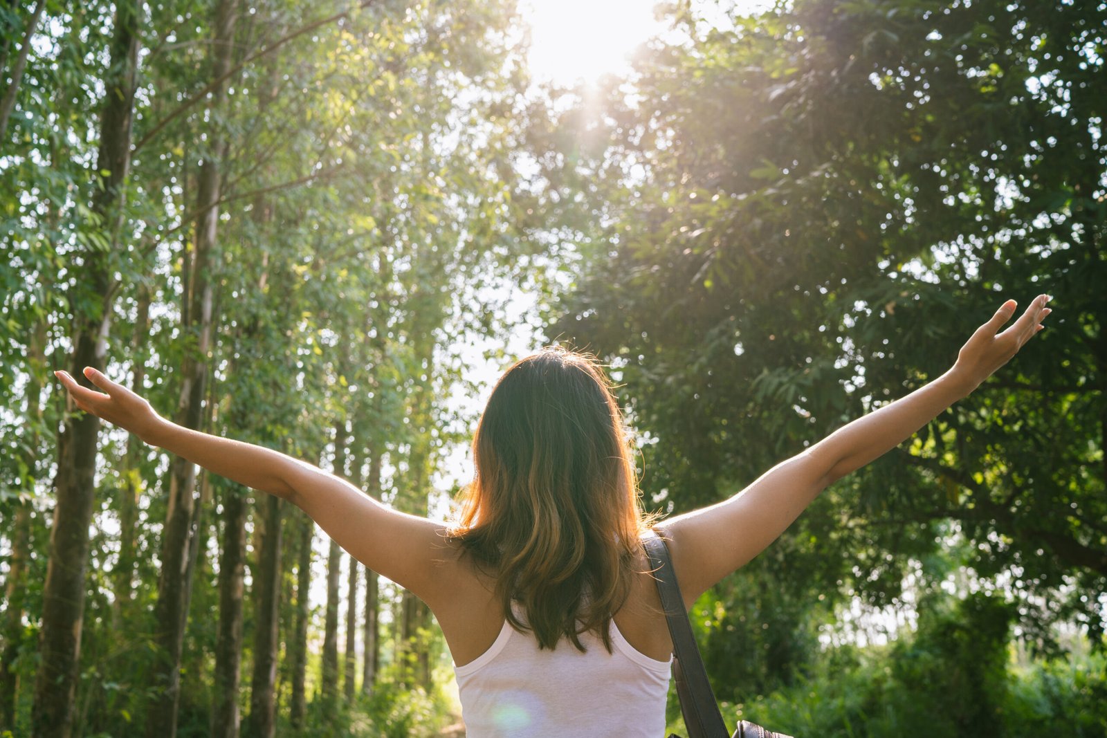 Happy young Asian woman traveler with backpack walking in forest. Hiker Asian woman with backpack walking on path in summer forest. Adventure backpacker travel people concept.